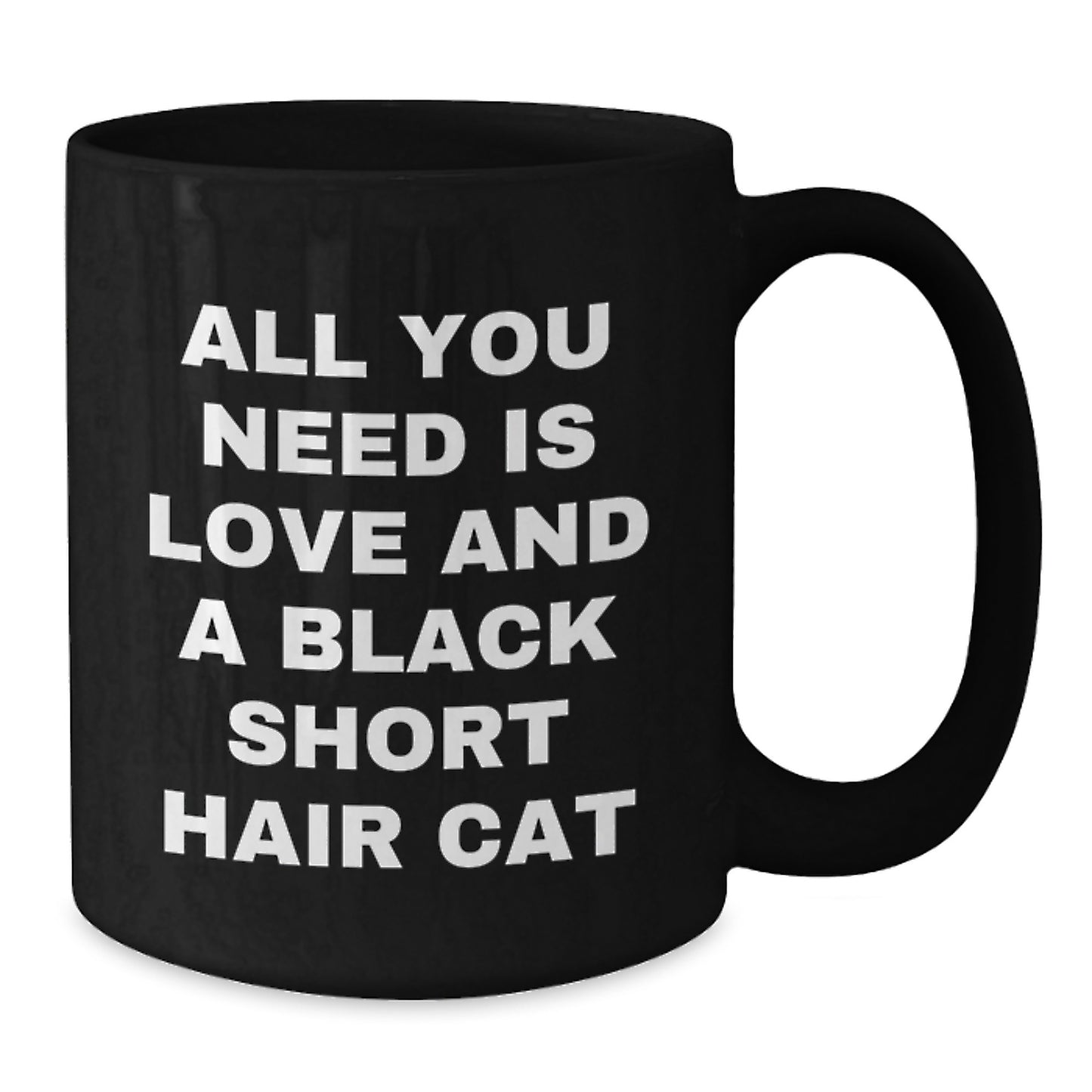 Funny Black Short Hair Cat Black Coffee Mugs for Christmas Unique Gifts from Friends and Family - Additional
