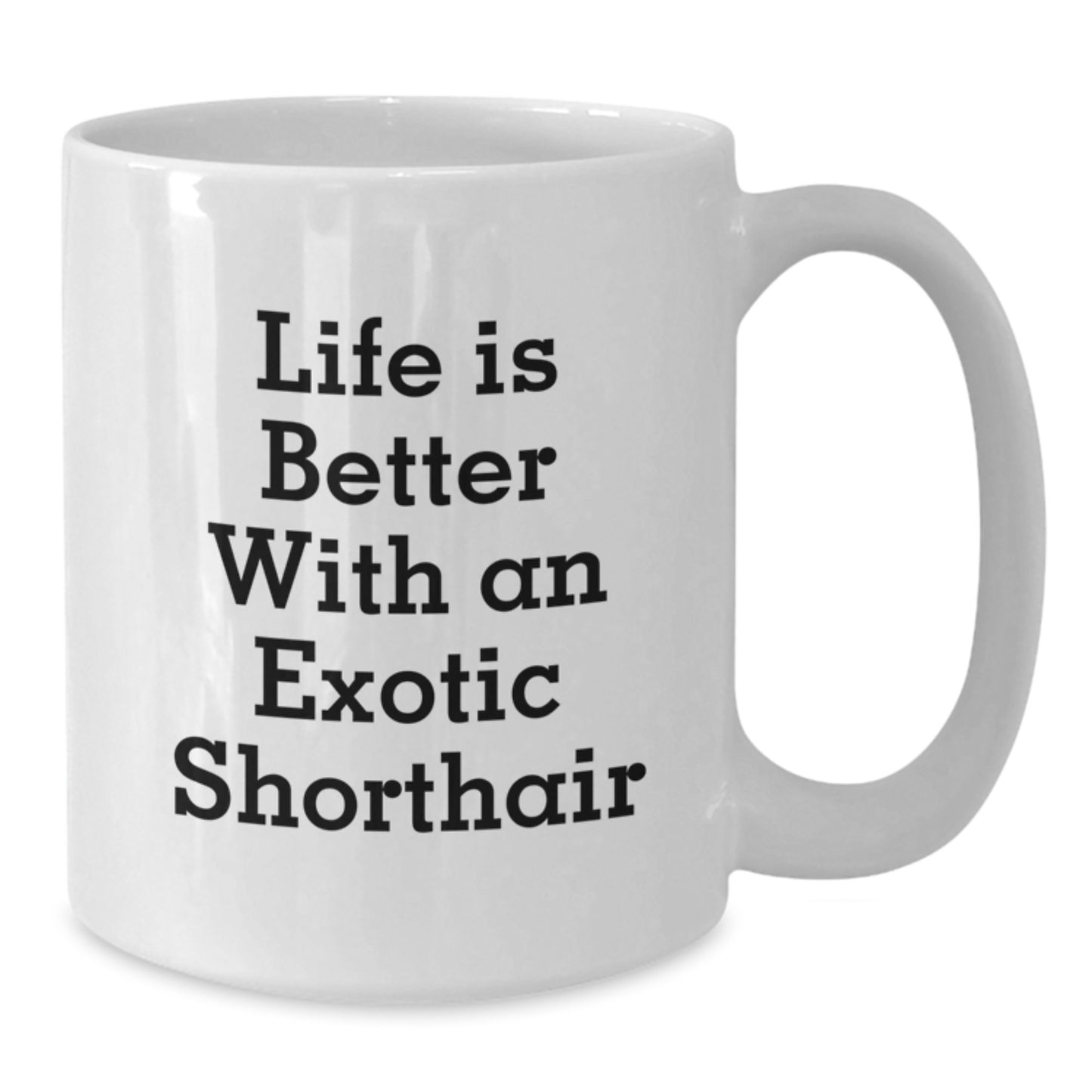 Exotic Shorthair Cat Lovers Gifts from Friends for Graduation Celebrations - Life Is Better With An Exotic Shorthair, Funny White Coffee Mug - Additional