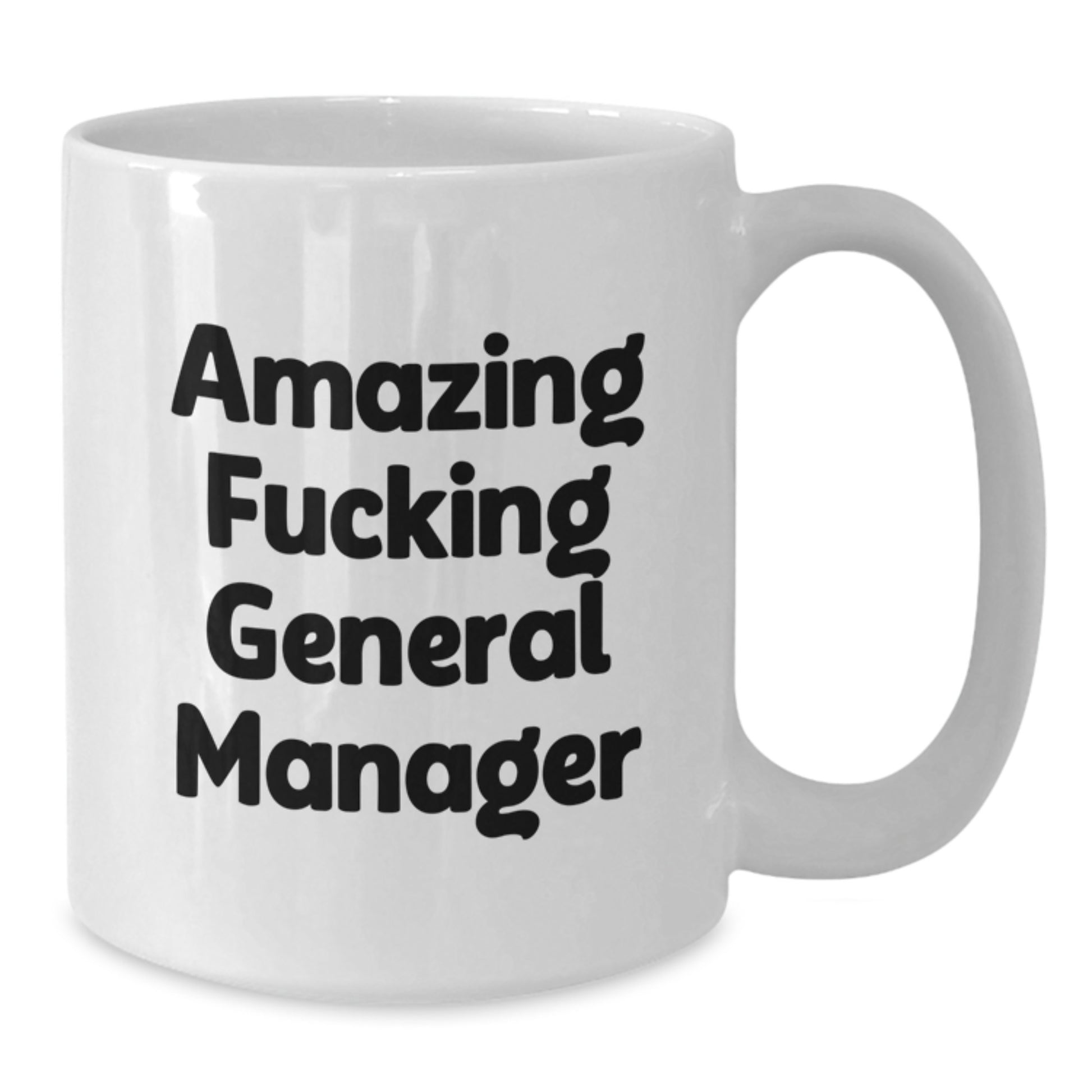 Funny General Manager Gifts from Coworkers for Christmas Unique Mugs with Amazing General Manager Quote - Additional