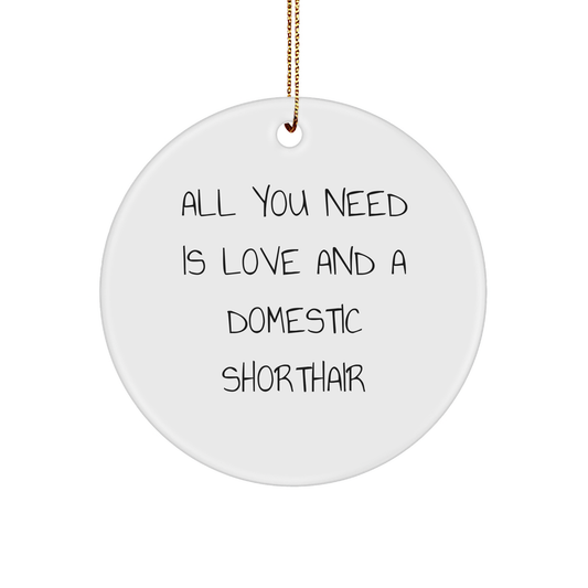 Domestic Shorthair Cat Love Gifts from Friends, Circle Ornament, Christmas Unique Decorations, All You Need Is Love And A Domestic Shorthair - Image 1