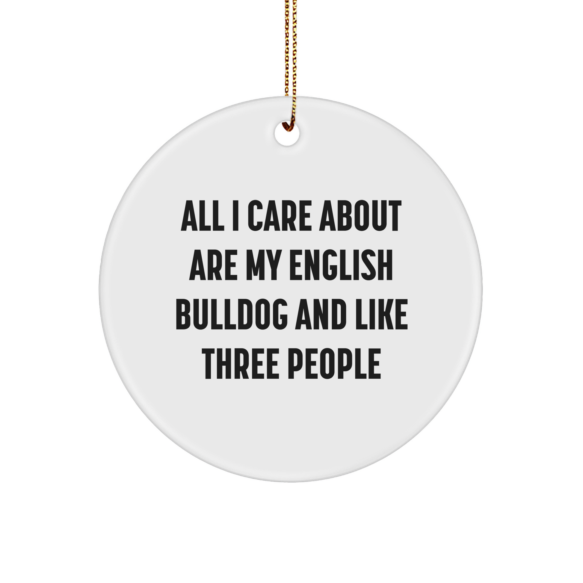 Funny English Bulldog Gifts for Him from Friends - All I Care About Circle Ornament, Christmas Unique Presents for Family - Image 1
