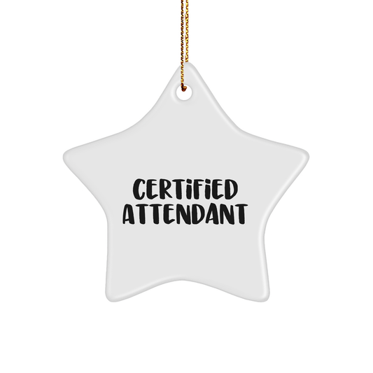 Funny Certified Attendant Gifts from Family for Attendant's Christmas Unique Gifts, Star Ornament with Quote - 'You're a Star' - Image 1