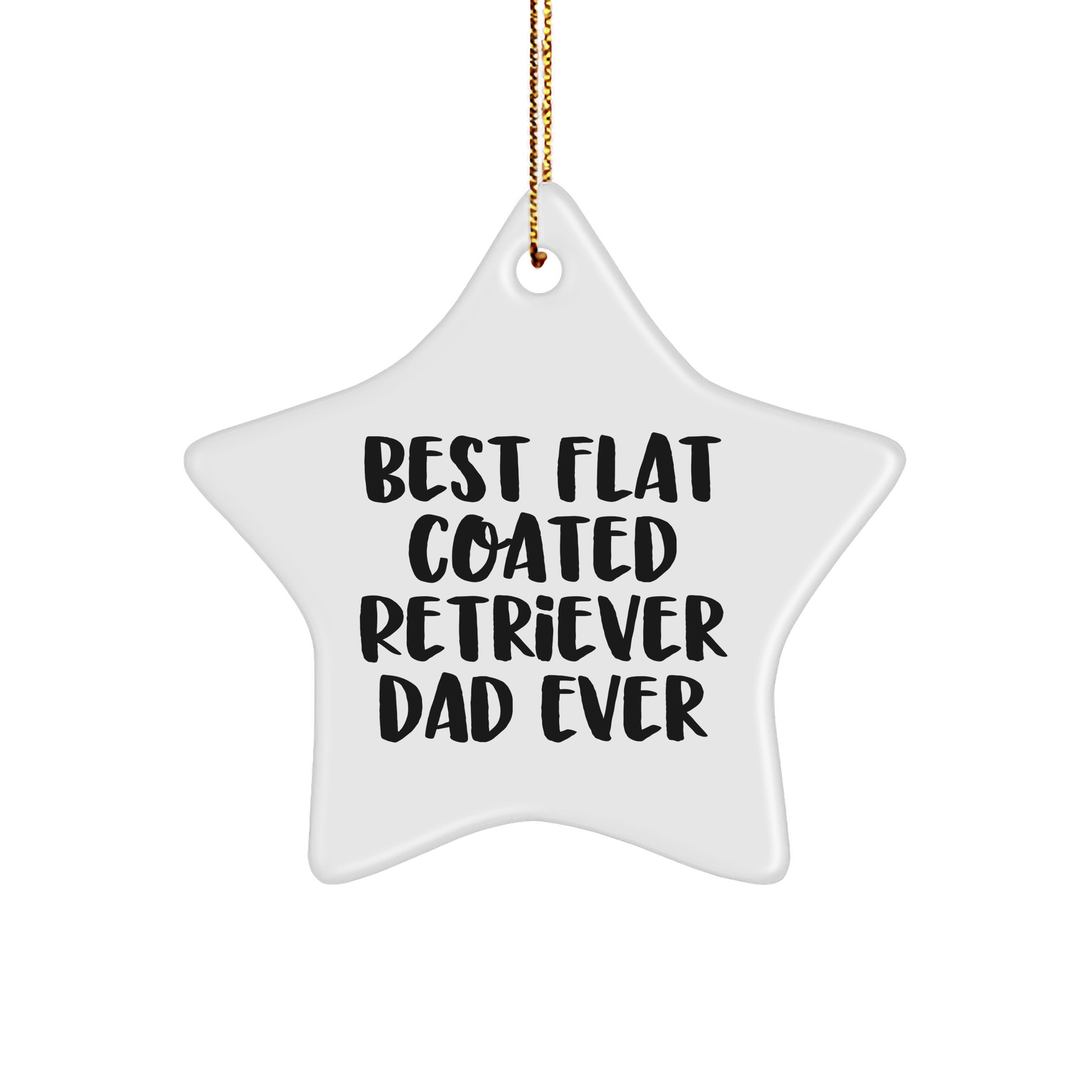 Funny Flat Coated Retriever Dog Dad Ever Gifts, Star Ornament for Christmas, 'Best Flat Coated Retriever Dad Ever' Quote, Gifts from Family for Flat Coated Retriever Dog - Image 1