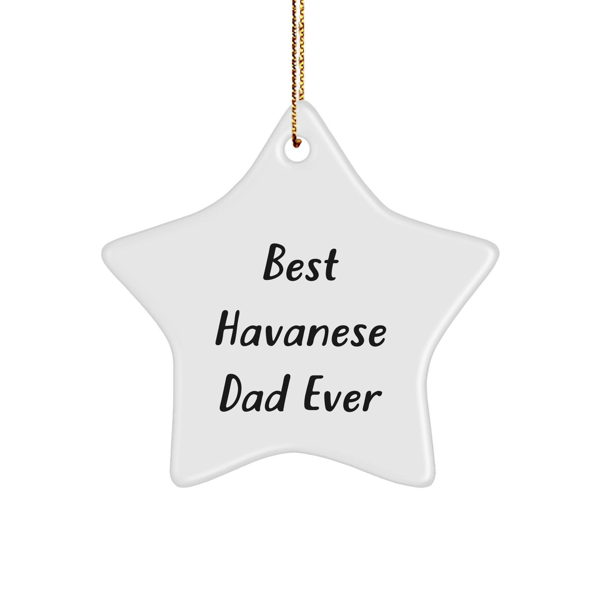 Havanese Dog Star Ornament, Best Dad Ever Quote, Funny Gifts for Men, Women, Friends, Family, Christmas Unique - Image 1