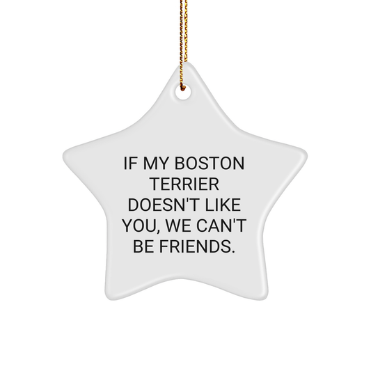 Funny Boston Terrier Dog Gifts from Friends for Christmas - Star Ornament with Quote - Image 1