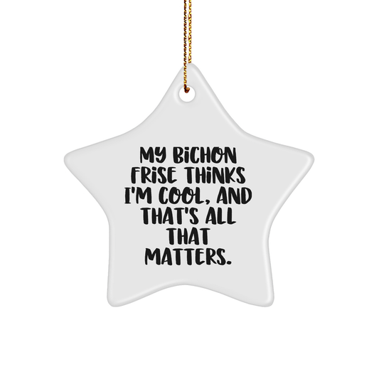 Bichon Frise Dog Gifts from Friends, My Star Ornament for Bichon Frise Dog, Funny Christmas Unique Gifts - Image 1