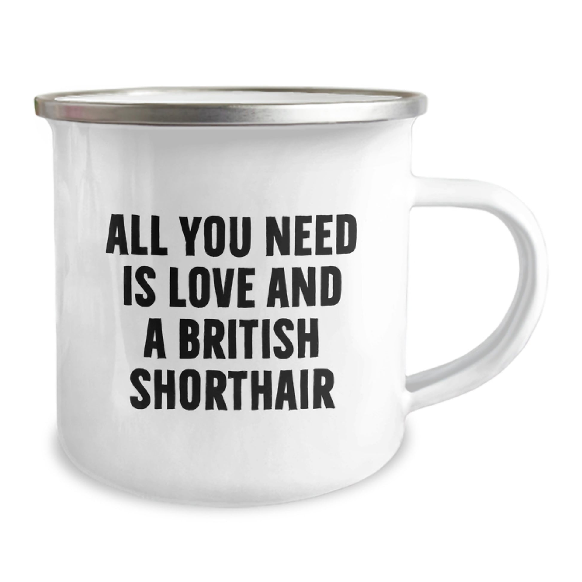 British Shorthair Cat Lover Gifts from Family - Camping Mug with Funny Quote - Christmas Unique Presents for Men and Women - Image 2