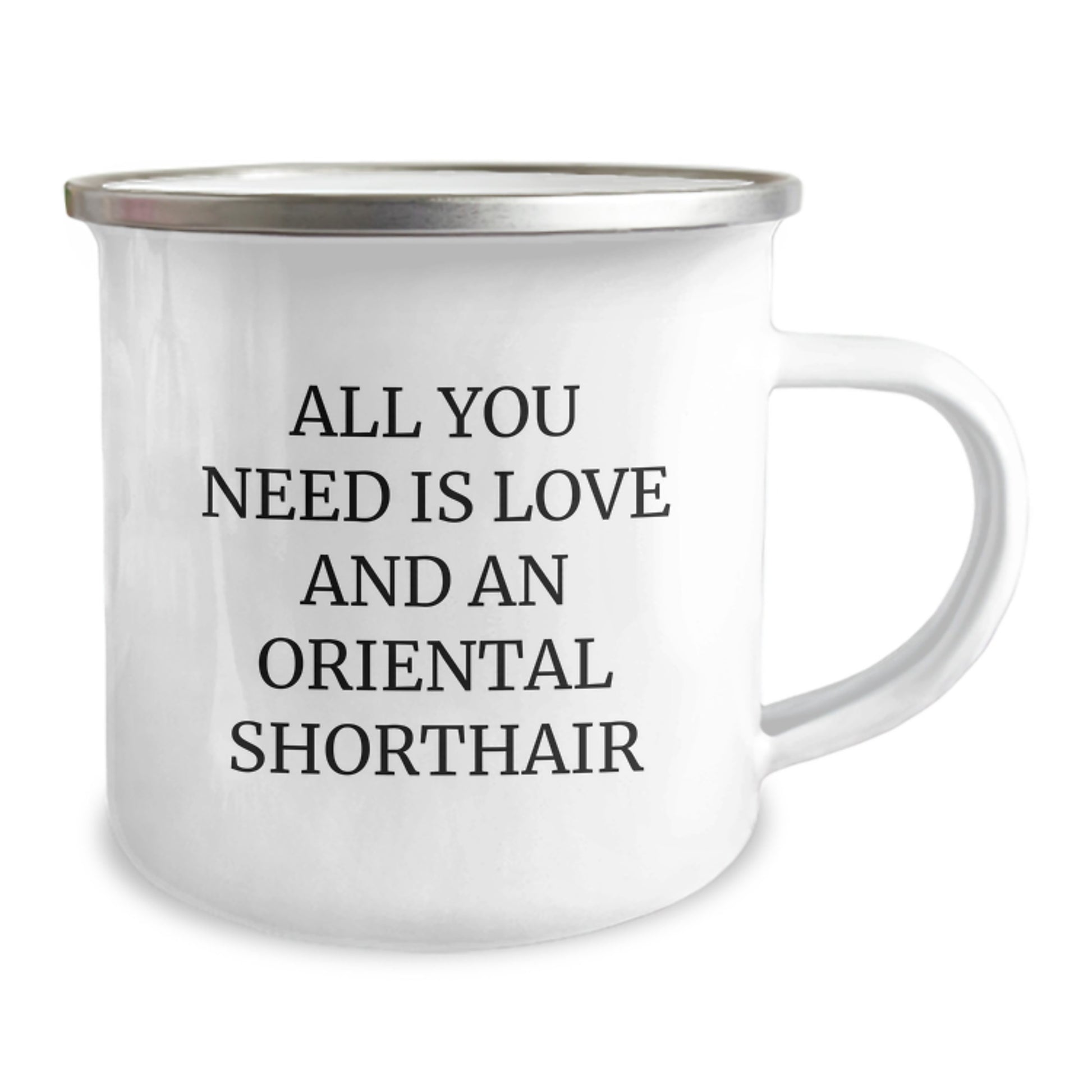 Oriental Shorthair Cat Lover Funny Christmas Unique Gifts from Friends to Family - All You Need Is Love And An Oriental Shorthair Camping Mug - Image 2