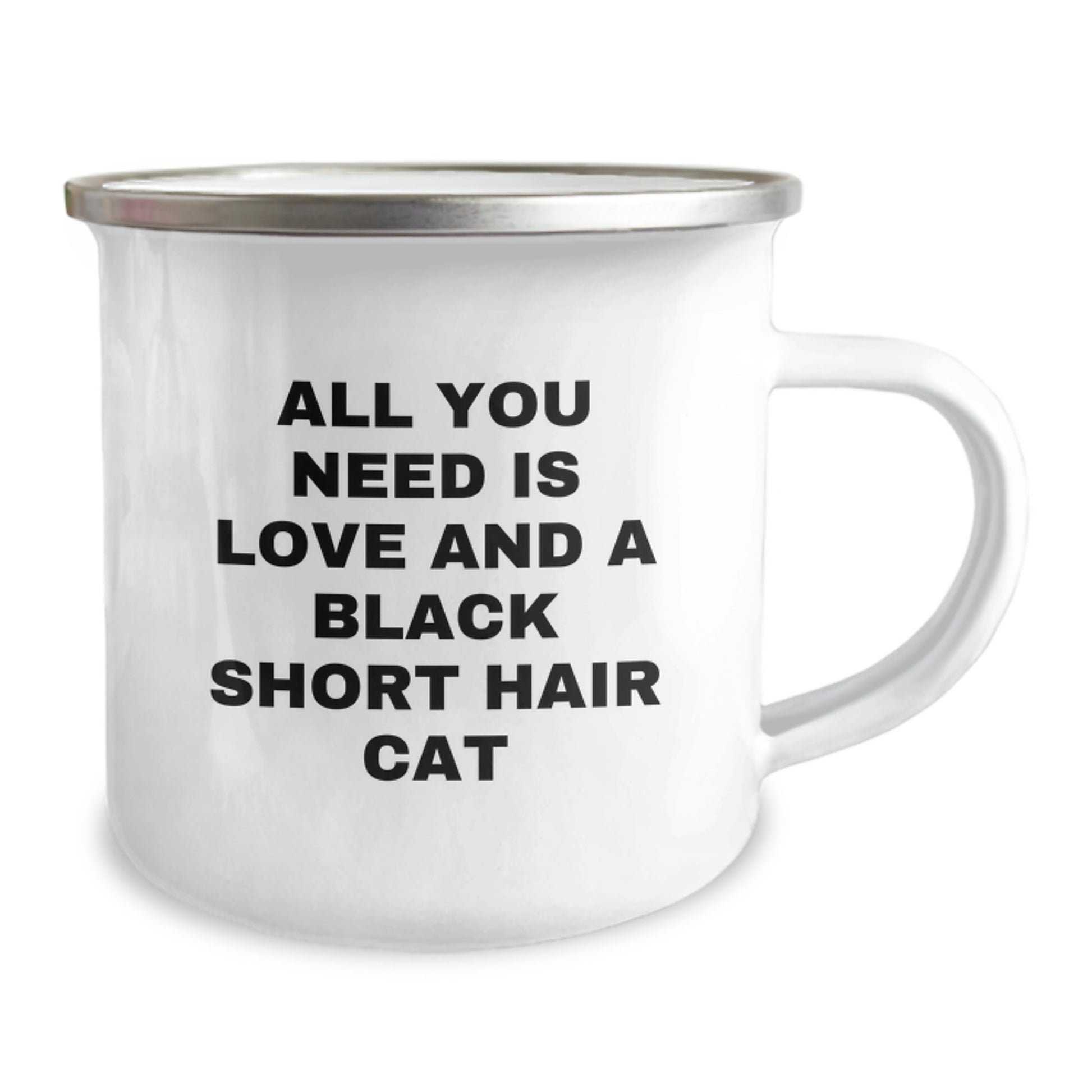 Black Short Hair Cat Lover Funny Camping Mug Gifts from Family to Friends on Christmas - Image 2