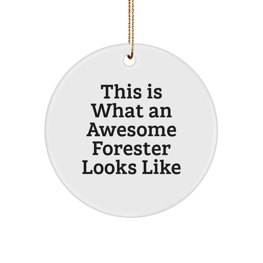 Forester Gifts from Friends, Circle Ornament, This Is What An Awesome Forester Looks Like, Christmas Unique Gifts for Forester, Circle Ornament - Image 1