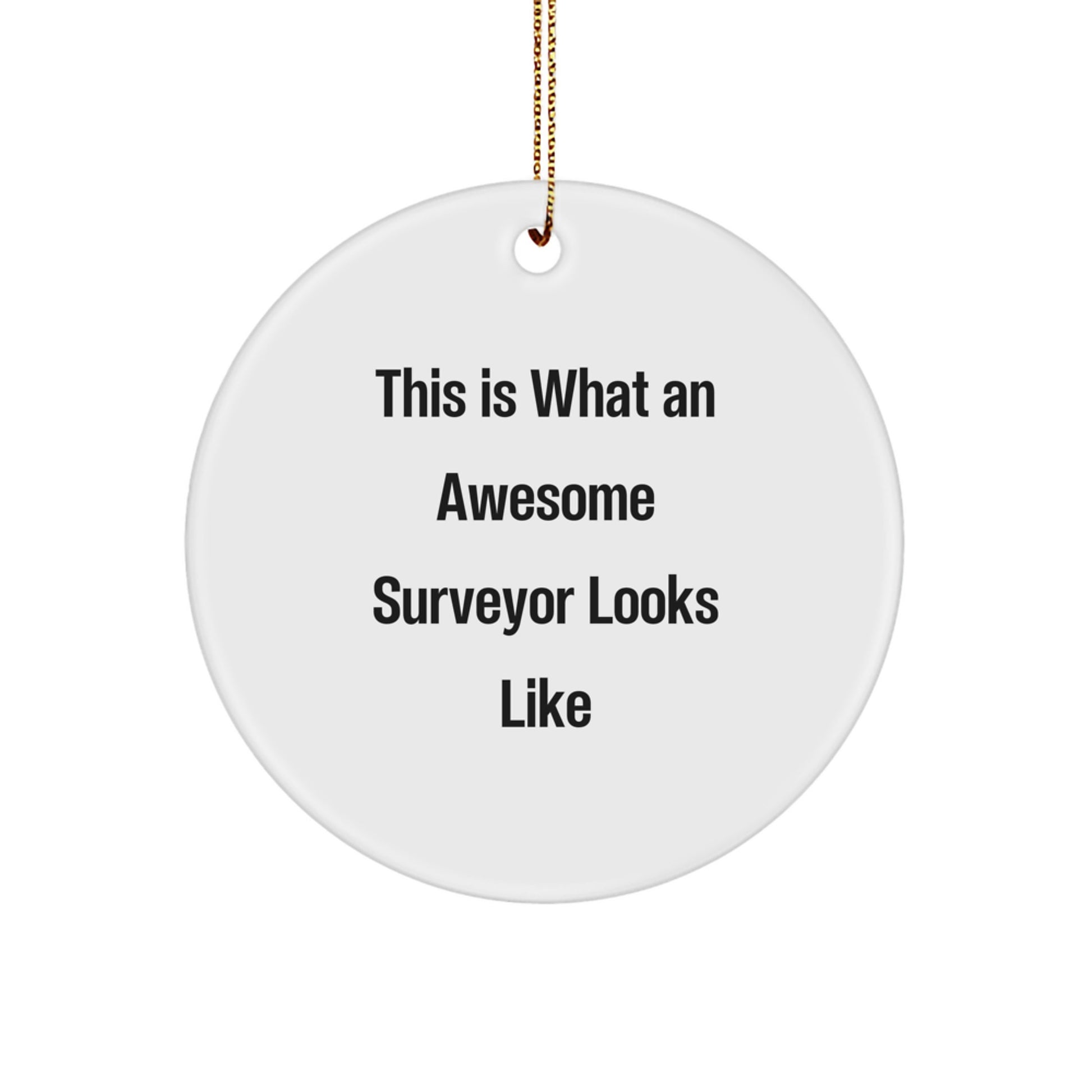Funny Surveyor Gifts from Friends for Surveyor Men This Is What An Awesome Surveyor Looks Like Circle Ornament Christmas Unique - Image 1