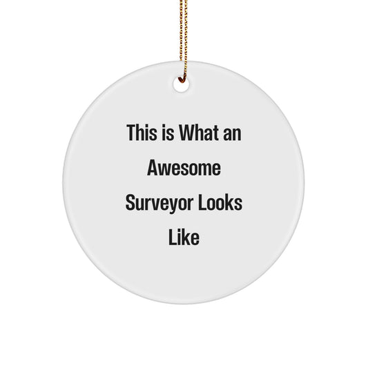 Funny Surveyor Gifts from Friends for Surveyor Men This Is What An Awesome Surveyor Looks Like Circle Ornament Christmas Unique - Image 1