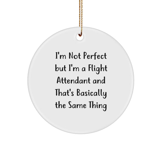 Funny Flight Attendant Gifts from Friends for Men Women Coworkers Family Unique Christmas Tree Decorations - Image 1