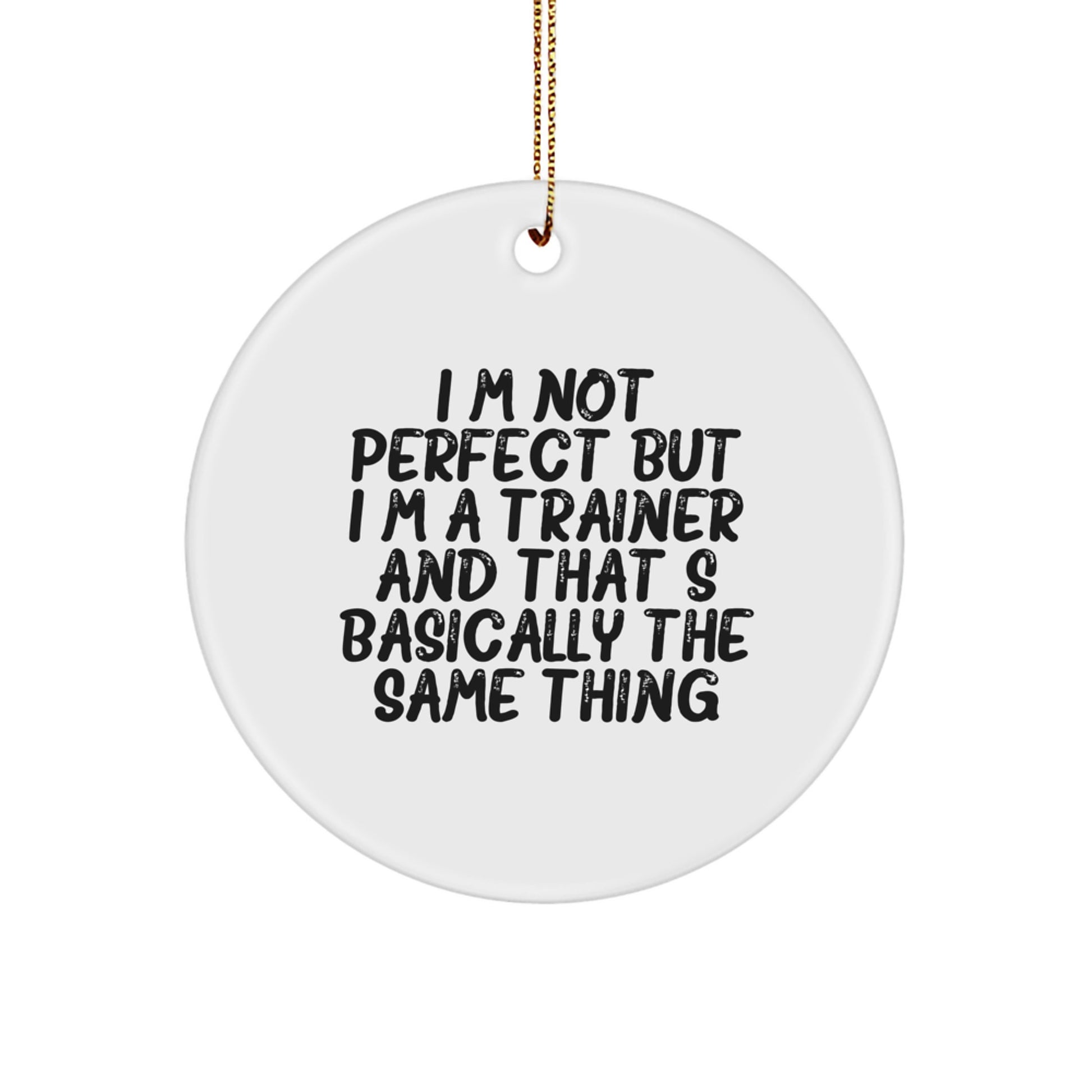 Funny Trainer Gifts from Men, Unique Christmas Unique Gifts for Trainer Friends - Image 1