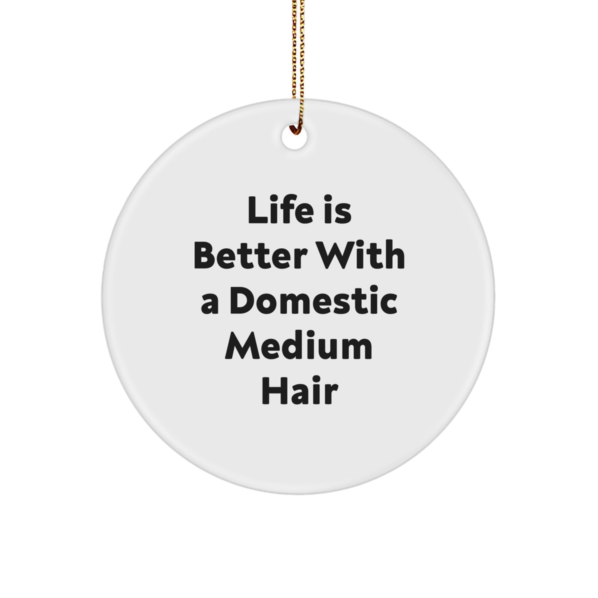 Funny Domestic Medium Hair Circle Ornament Gifts from Family, Friends, Coworkers for Christmas - Life Is Better With A Domestic Medium Hair - Image 1