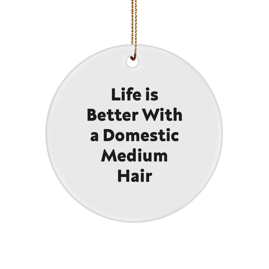 Funny Domestic Medium Hair Circle Ornament Gifts from Family, Friends, Coworkers for Christmas - Life Is Better With A Domestic Medium Hair - Image 1