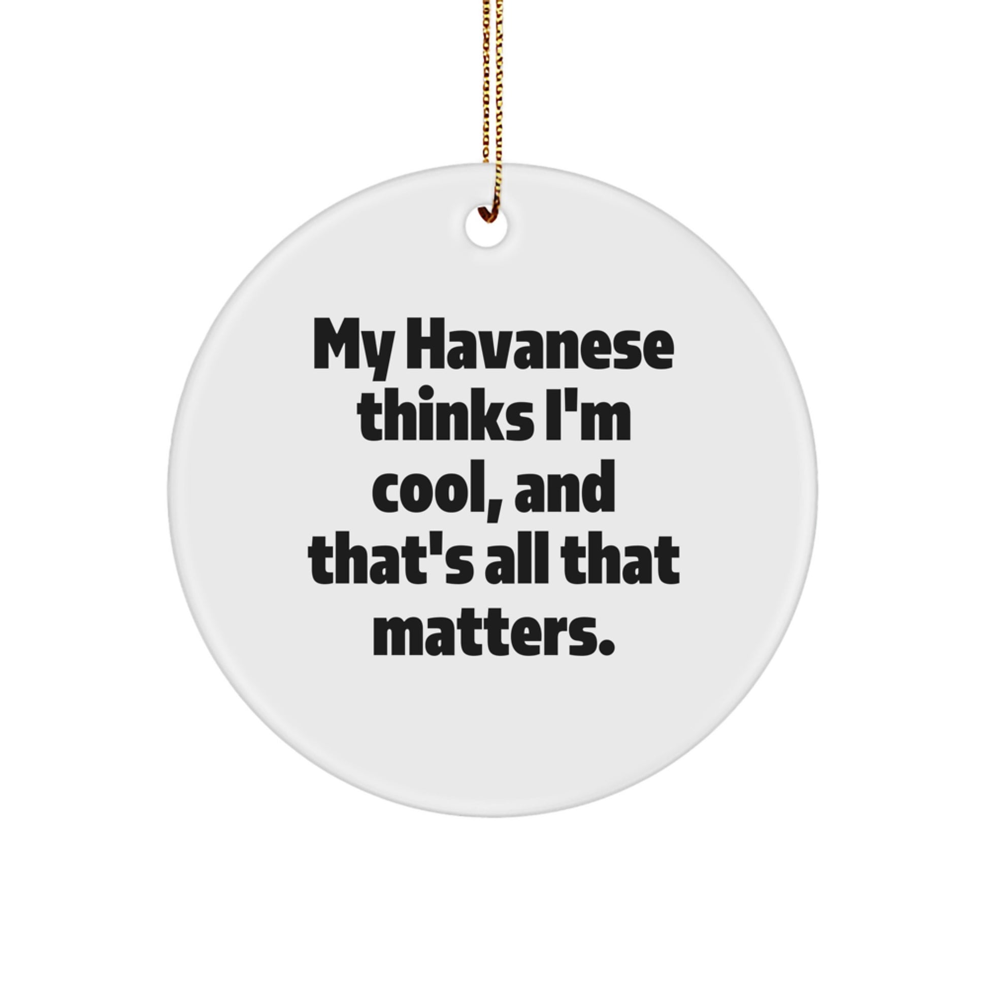 Havanese Dog Lover Gifts from Friends for Christmas - Funny Circle Ornament - Image 1