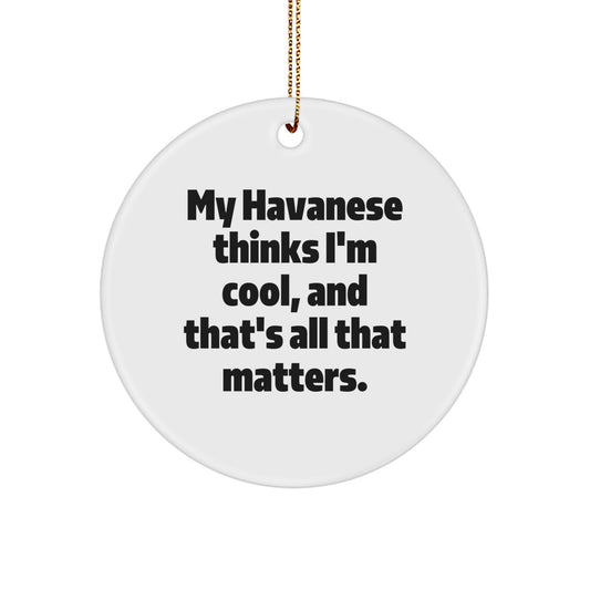 Havanese Dog Lover Gifts from Friends for Christmas - Funny Circle Ornament - Image 1