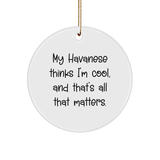 Havanese Dog Lovers' Funny Circle Ornament, Gifts from Family to Friends, Unique Christmas Decorations - Image 1