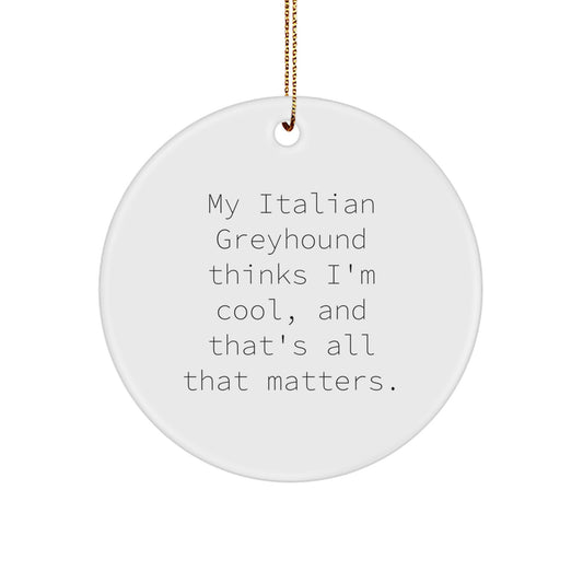 Italian Greyhound Dog Lover Gifts from Friends for Christmas - 'My Italian Greyhound Thinks I'm Cool, And That's All That Matters' Circle Ornament - Image 1