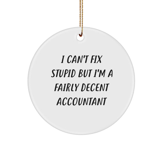 Funny Accountant Gifts for Coworkers, Men, or Women - I Can't Fix Stupid But I'm A Fairly Decent Accountant Circle Ornament for Christmas Unique Gifts - Image 1