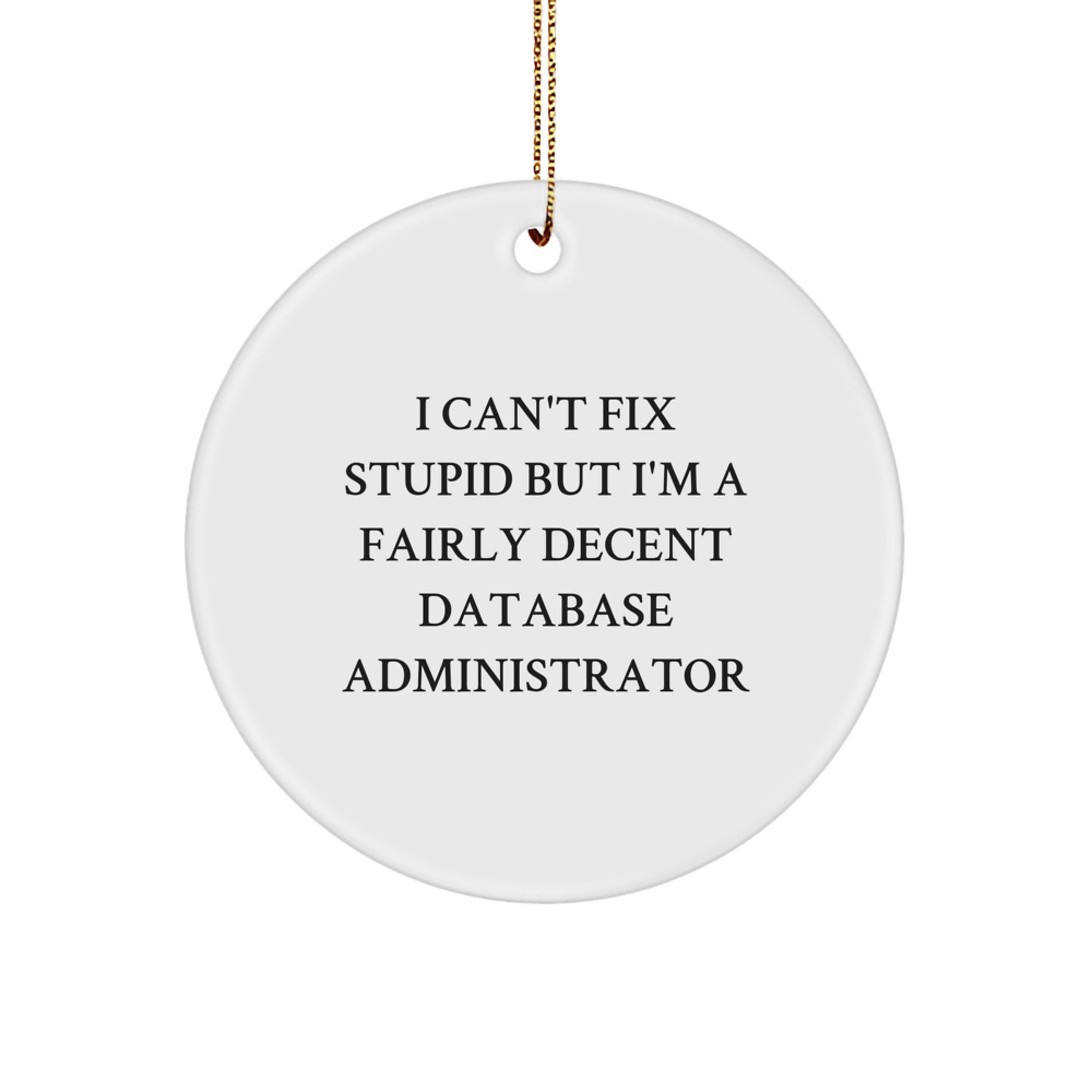 'I Can't Fix Stupid But I'm A Fairly Decent Database Administrator', Funny Database Administrator Gifts, Christmas Unique Gifts, Circle Ornament, Gifts from Friends, Gifts for Database Administrator - Image 1