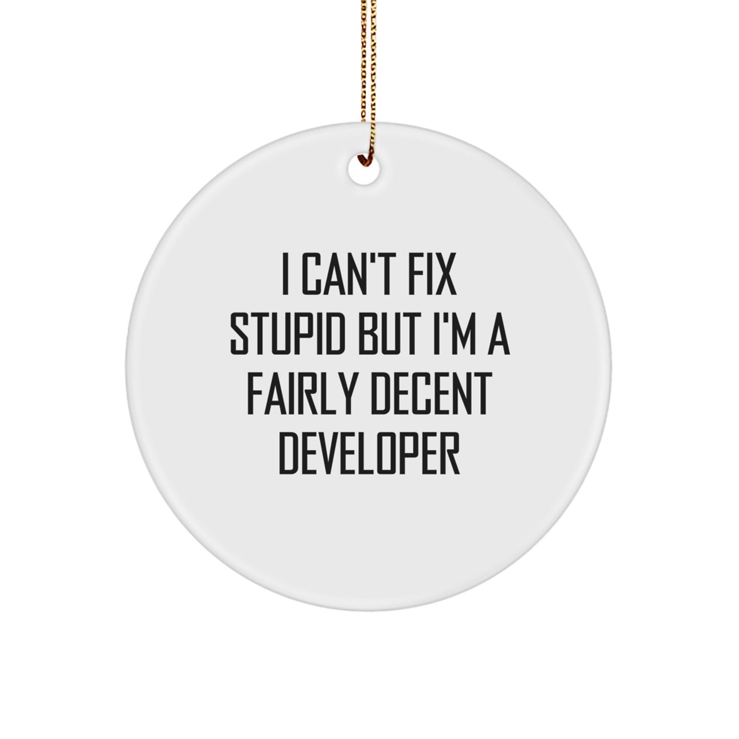 Funny Developer Gifts for Men, Women, Friends, Coworkers, and Family - I Can't Fix Stupid But I'm A Fairly Decent Developer Circle Ornament for Christmas Unique Gifts - Image 1