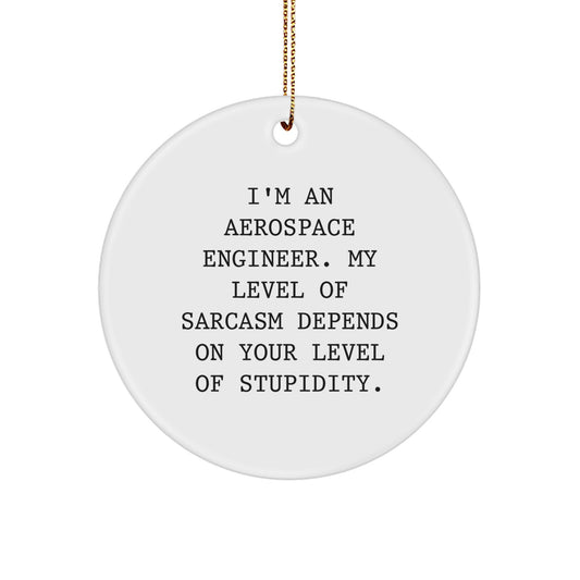 Aerospace Engineer Gifts from Friends and Family - Funny Sarcasm Circle Ornament, White, 2.75\ - Image 1