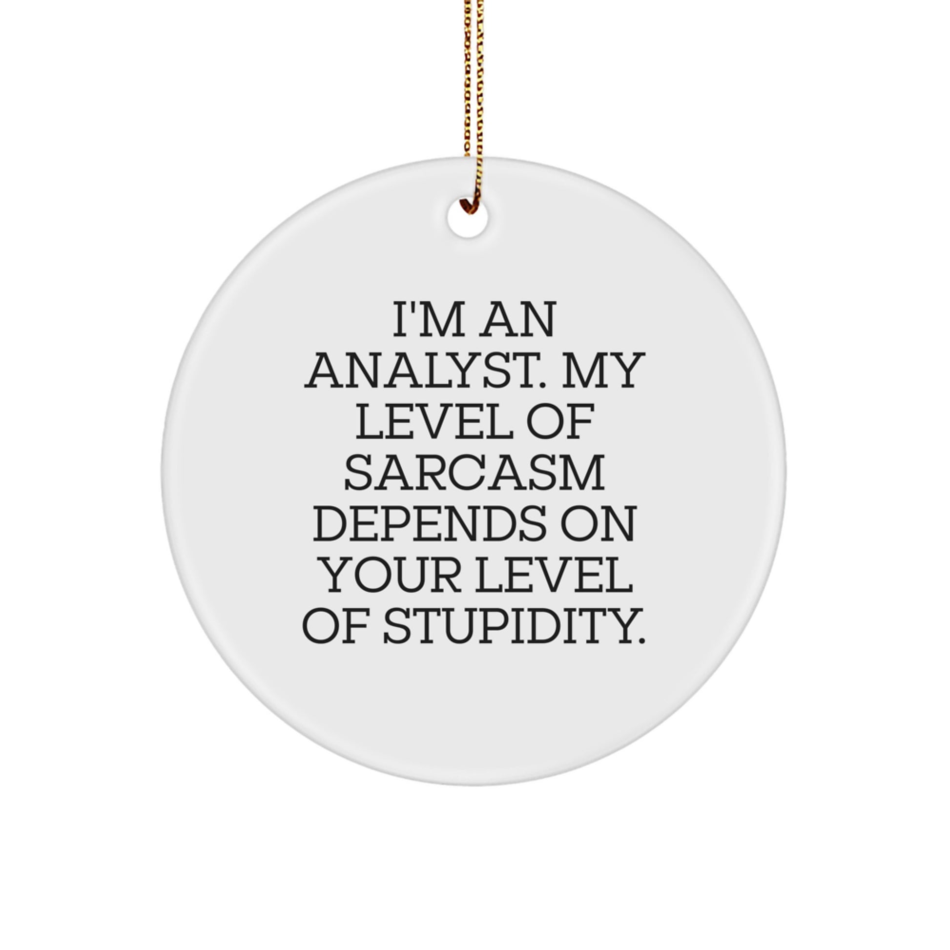 Funny Analyst Gifts from Friends for Christmas - 'I'm An Analyst. My Level Of Sarcasm Depends On Your Level Of Stupidity.' Circle Ornament - Image 1