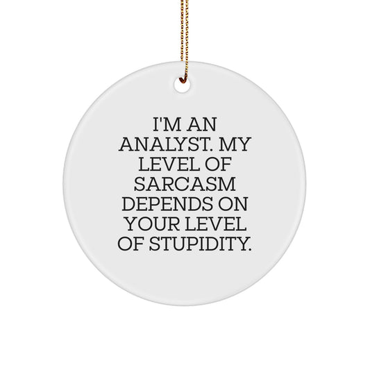 Funny Analyst Gifts from Friends for Christmas - 'I'm An Analyst. My Level Of Sarcasm Depends On Your Level Of Stupidity.' Circle Ornament - Image 1