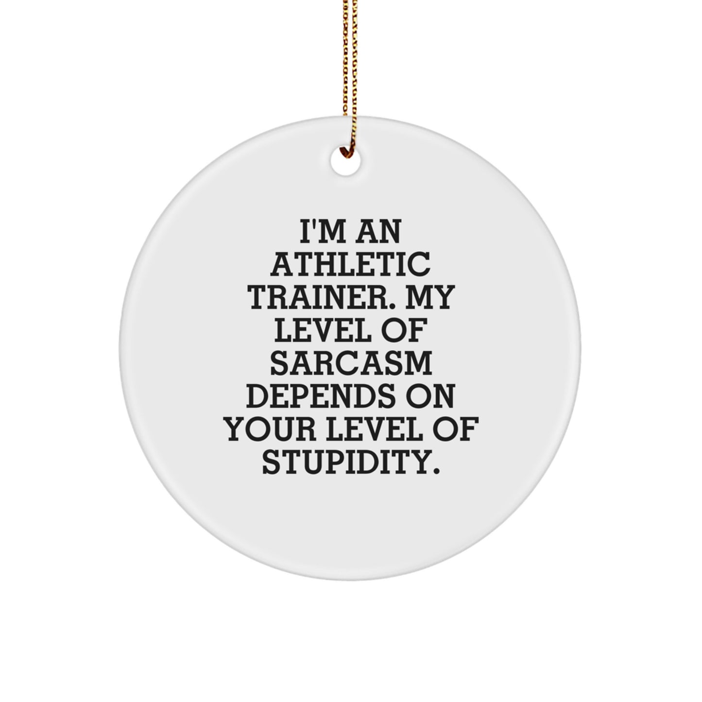 Athletic Trainer Gifts from Friends - Funny Sarcasm Circle Ornament for Christmas - Image 1
