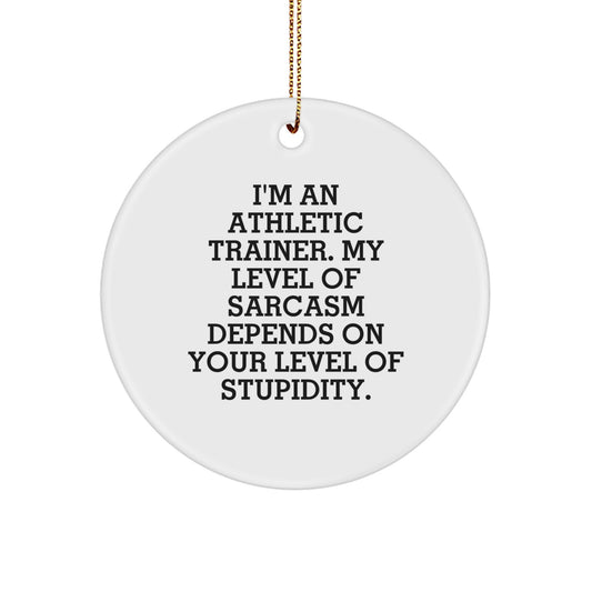 Athletic Trainer Gifts from Friends - Funny Sarcasm Circle Ornament for Christmas - Image 1