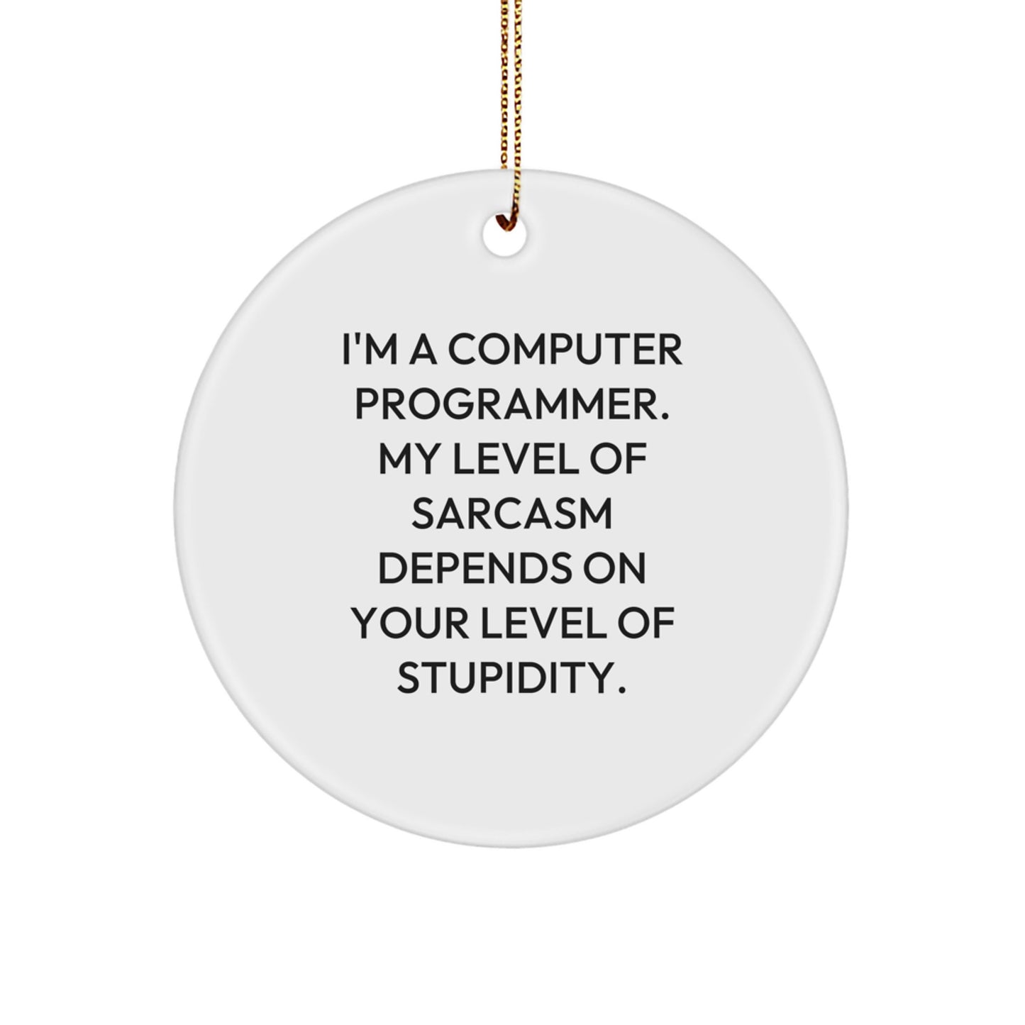 Funny Sarcasm Computer Programmer Gifts, Circle Ornament from Friends for Men, 'I'm A Computer Programmer. My Level Of Sarcasm Depends On Your Level Of Stupidity.' - Image 1