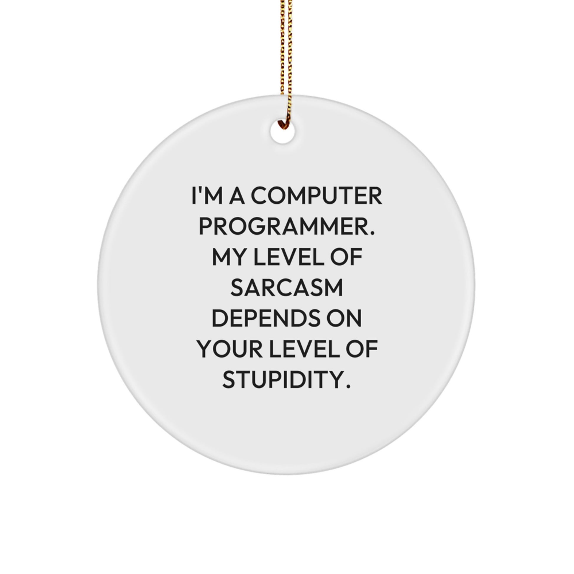 Funny Sarcasm Computer Programmer Gifts, Circle Ornament from Friends for Men, 'I'm A Computer Programmer. My Level Of Sarcasm Depends On Your Level Of Stupidity.' - Image 1