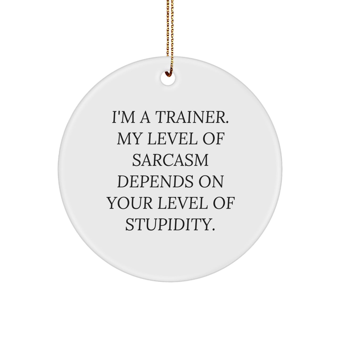 Funny Trainer Gifts from Friends or Family - Circle Ornament Sarcasm Quote for Christmas Unique - Image 1