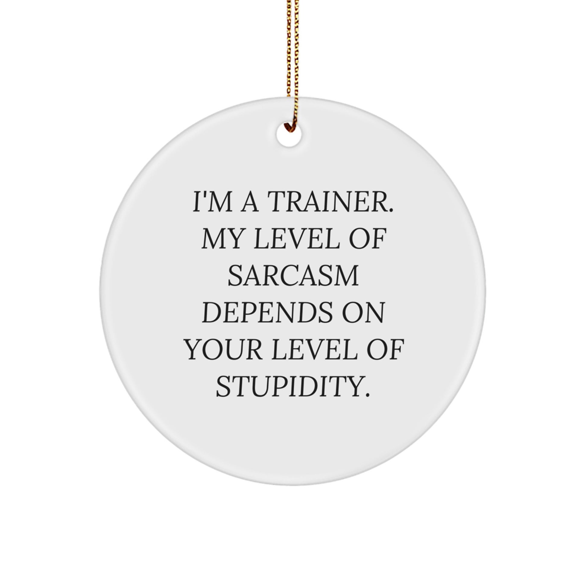 Funny Trainer Gifts from Friends or Family - Circle Ornament Sarcasm Quote for Christmas Unique - Image 1