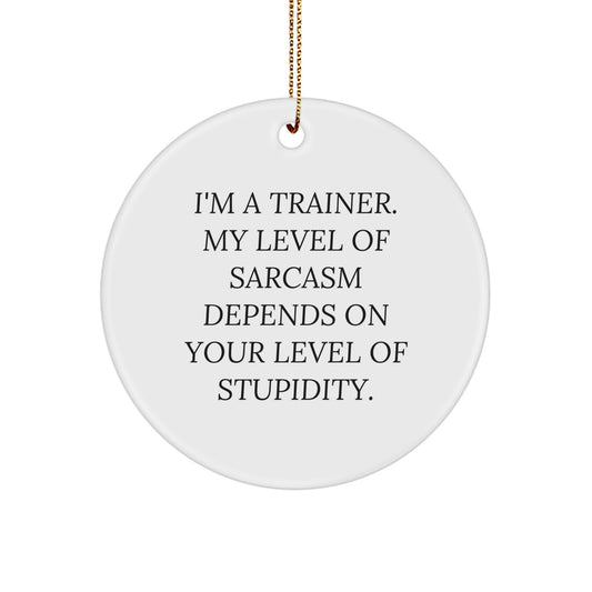 Funny Trainer Gifts from Friends or Family - Circle Ornament Sarcasm Quote for Christmas Unique - Image 1