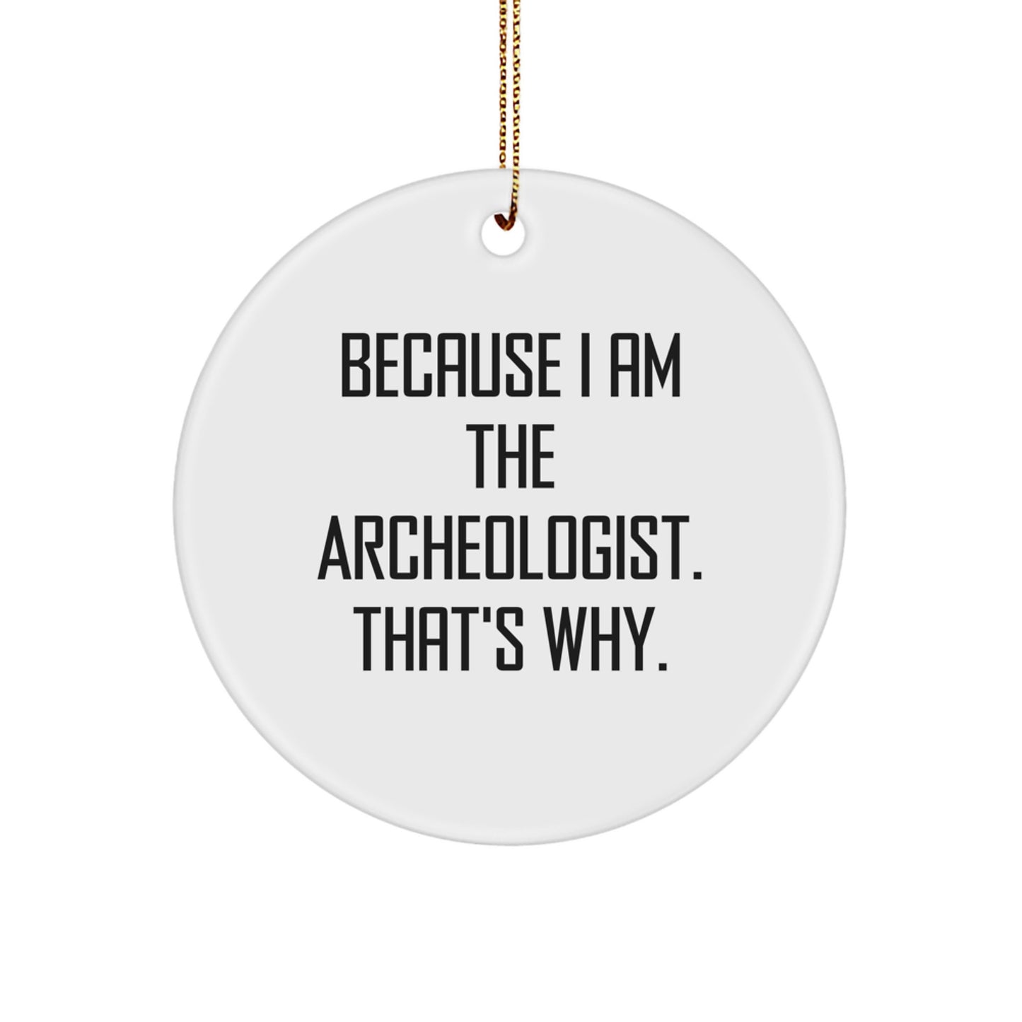 Funny Archeologist Circle Ornament Gifts from Friends for Archeologist Enthusiasts on Christmas Unique Gifts Day - Image 1