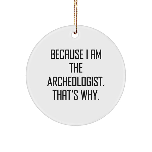 Funny Archeologist Circle Ornament Gifts from Friends for Archeologist Enthusiasts on Christmas Unique Gifts Day - Image 1