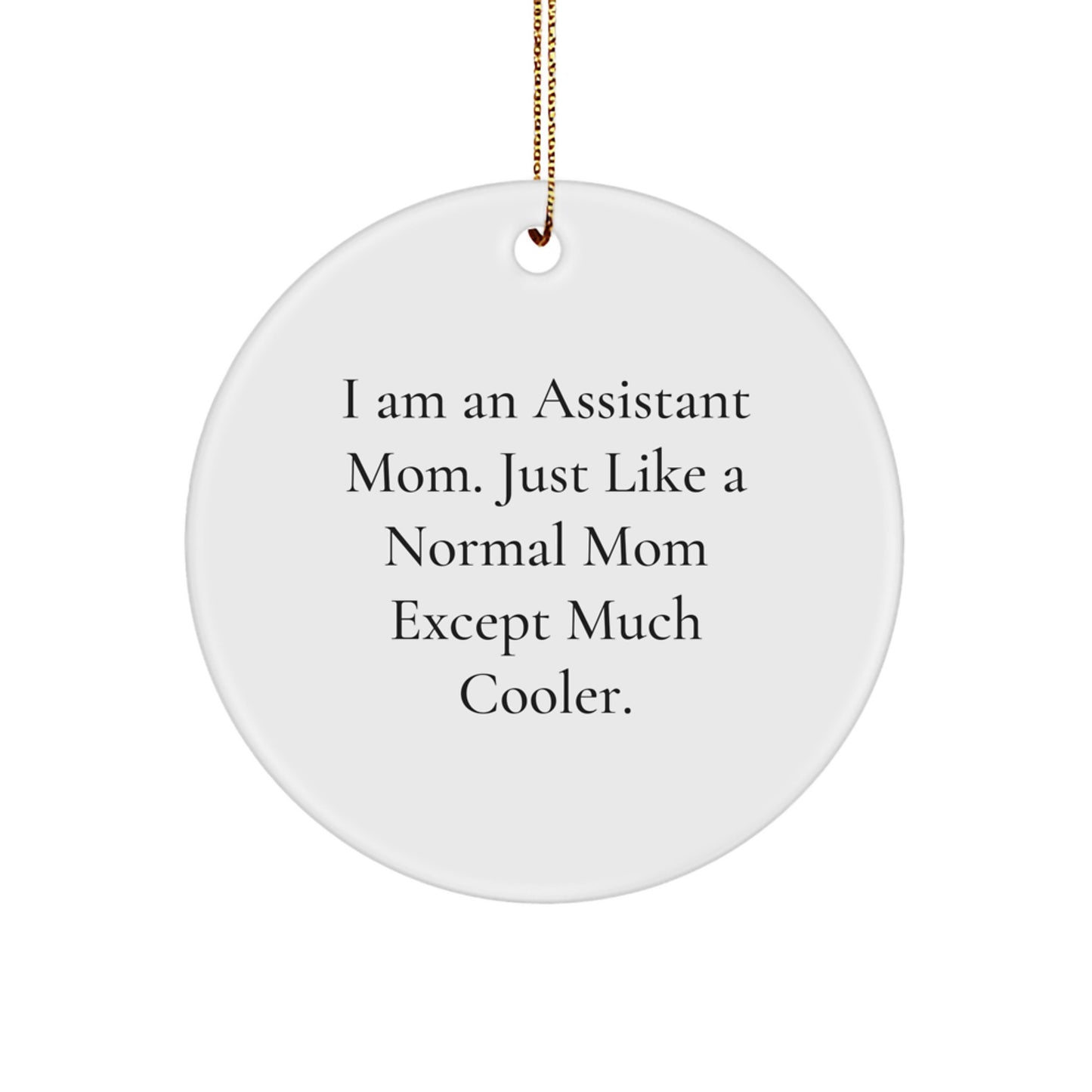 Funny Assistant Mom Circle Ornament Gifts from Friends and Family for Christmas Unique Decorations - Image 1