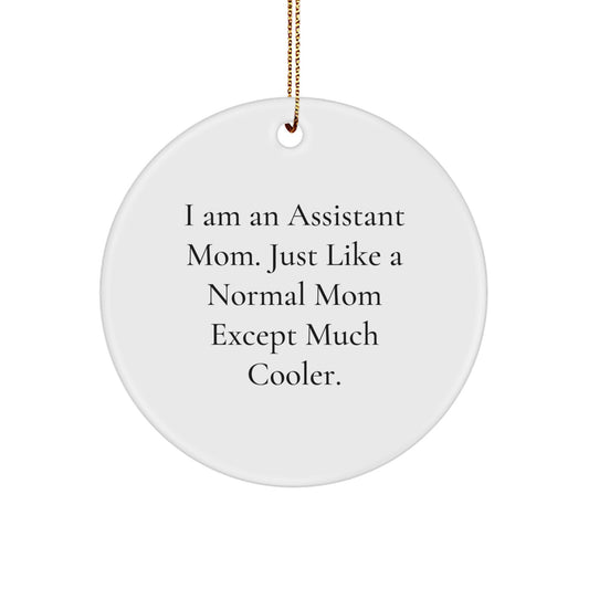 Funny Assistant Mom Circle Ornament Gifts from Friends and Family for Christmas Unique Decorations - Image 1