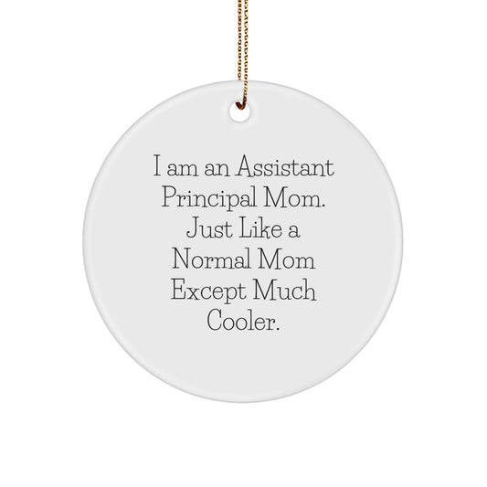 Funny Assistant Principal Mom Gifts for Men, Women, Friends and Family - Christmas Unique Circle Ornaments from Assistant Principal Mothers - Image 1