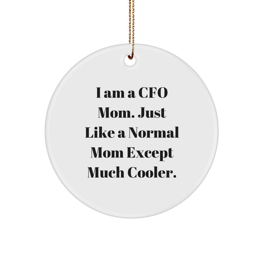 CFO Mom Gifts, Funny Circle Ornaments, Christmas Unique Presents for CFOs from Friends - Image 1