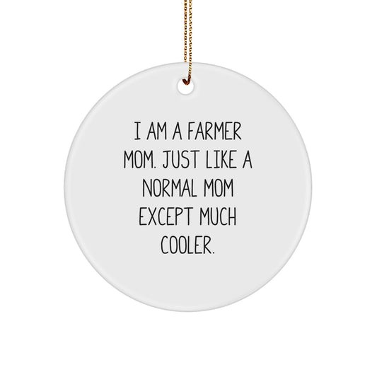 Farmer Christmas Circle Ornament Funny Gift from Mom to Farmer, Unique Christmas Unique Gifts for Farmer, I Am A Farmer Mom Ornament - Image 1