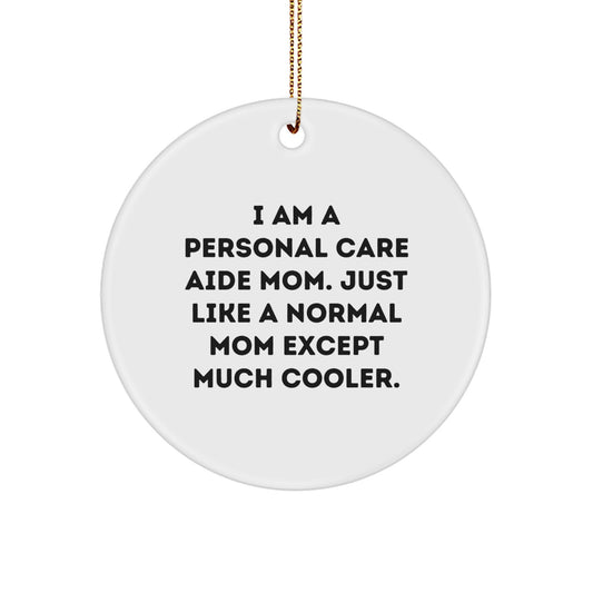 Personal Care Aide Mom Gifts from Friends - Unique Circle Ornament, Funny Inspirational Quote, Christmas Decorations for Family, Men, Women, Coworkers - Image 1