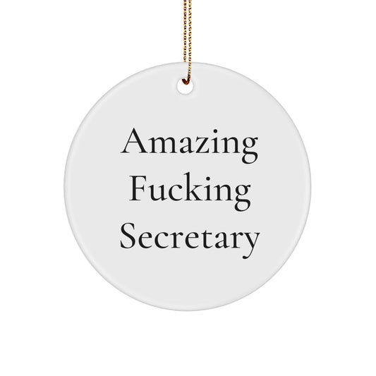 Funny Secretary Gifts from Friends, Amazing ' F--king Secretary', Circle Ornament for Secretary Christmas Unique Gifts - Image 1