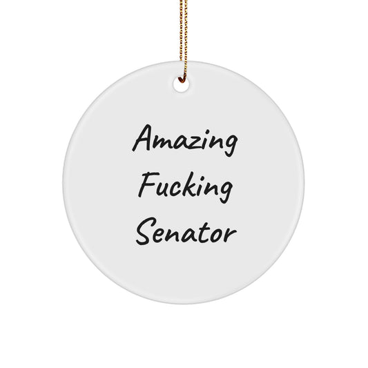 Senator Funny Quote Circle Ornament Gifts for Men Women Friends Family, Gifts from Men Women Friends Family to Senator, Senator Christmas Unique Gifts - Image 1