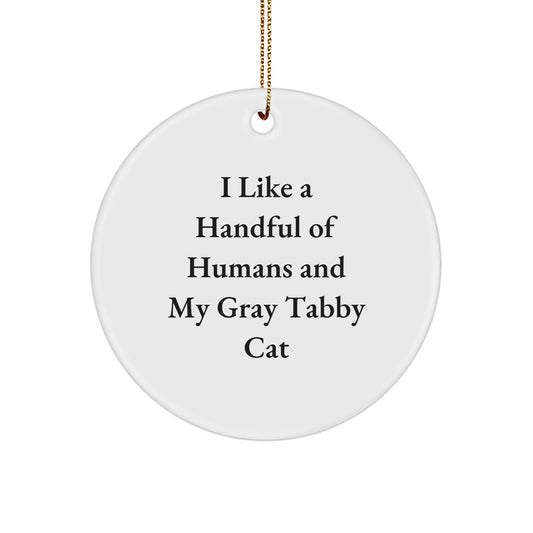 Funny Gray Tabby Cat Circle Ornament Gifts from Friends and Family for Christmas Unique - Image 1