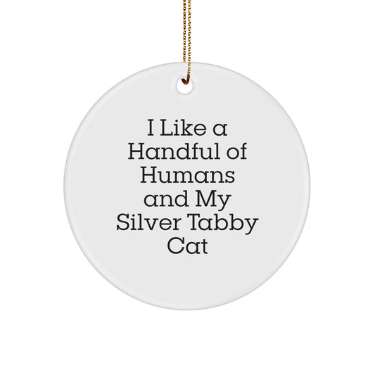 Funny Silver Tabby Cat Gifts from Men, Women, Friends, Coworkers, Family for Christmas Unique Gifts - Silver Tabby Cat Lover Circle Ornament, I Like A Handful Of Humans And My Silver Tabby Cat - Image 1