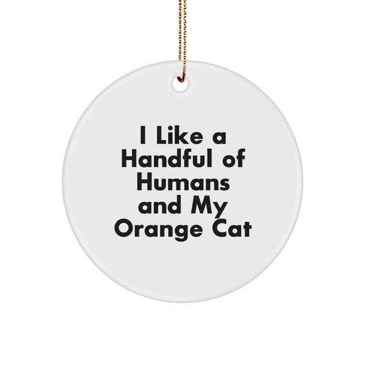 Orange Cat Lover Gifts from Men, Women, Friends, Coworkers to Family with Circle Ornament - Funny Quote I Like A Handful Of Humans And My Orange Cat - Image 1